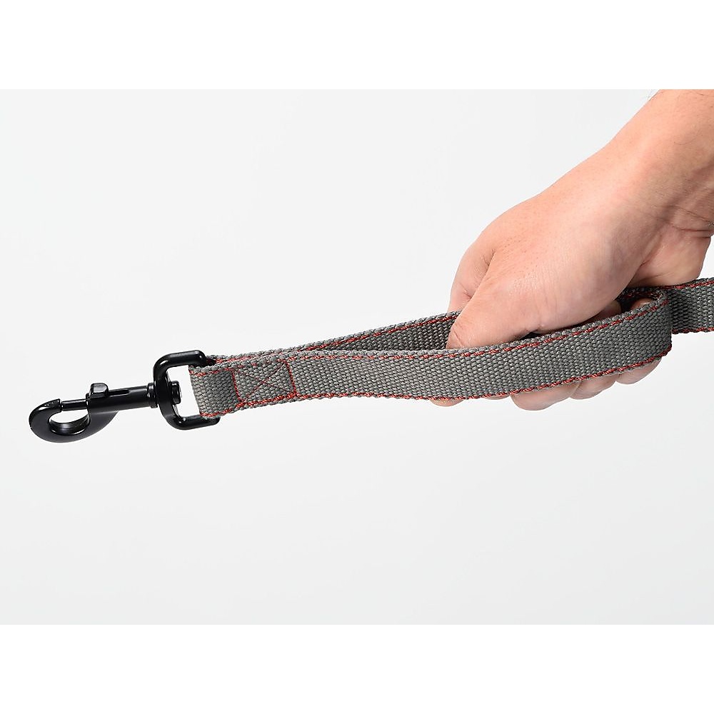 SPソフトリードM