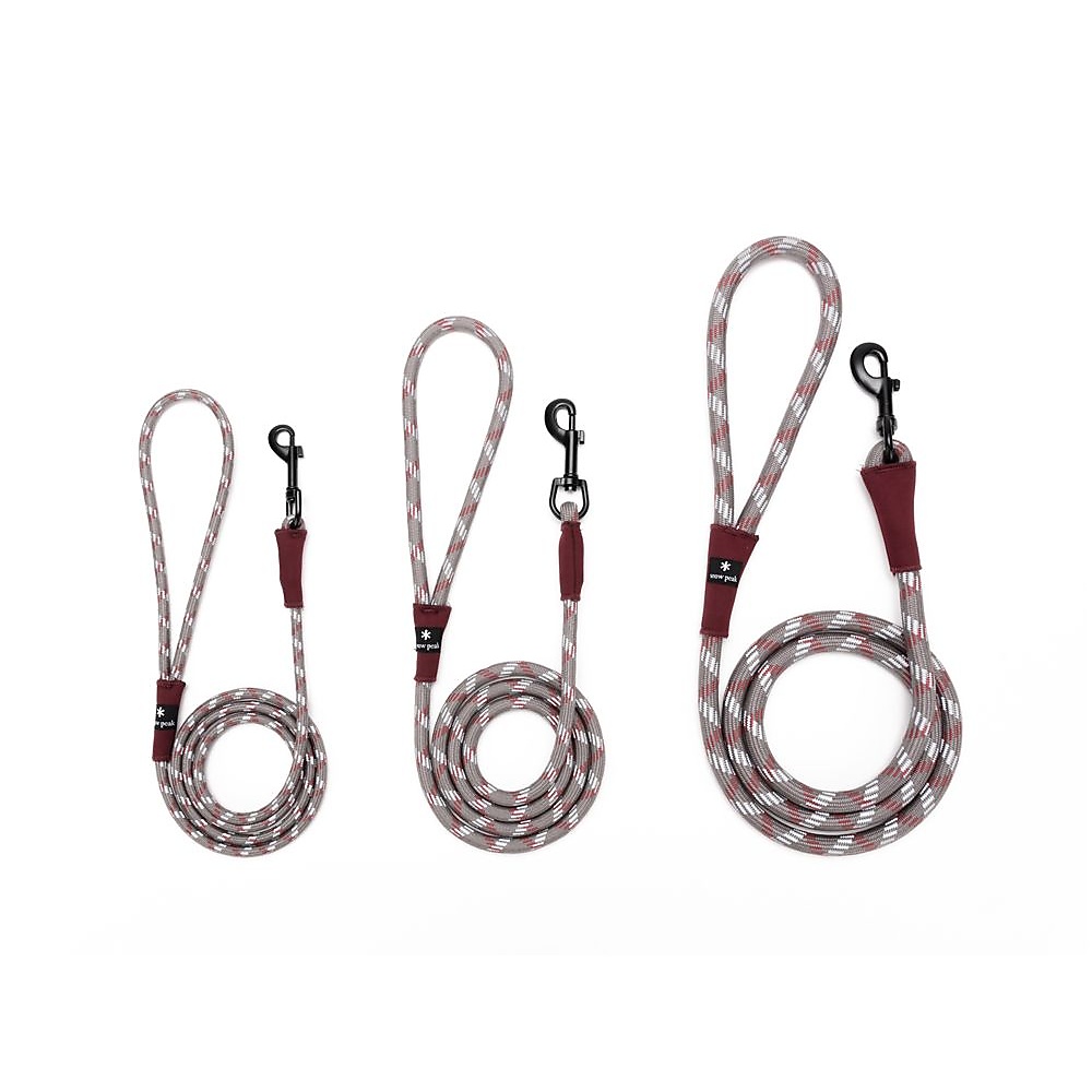 SPドッグリードS