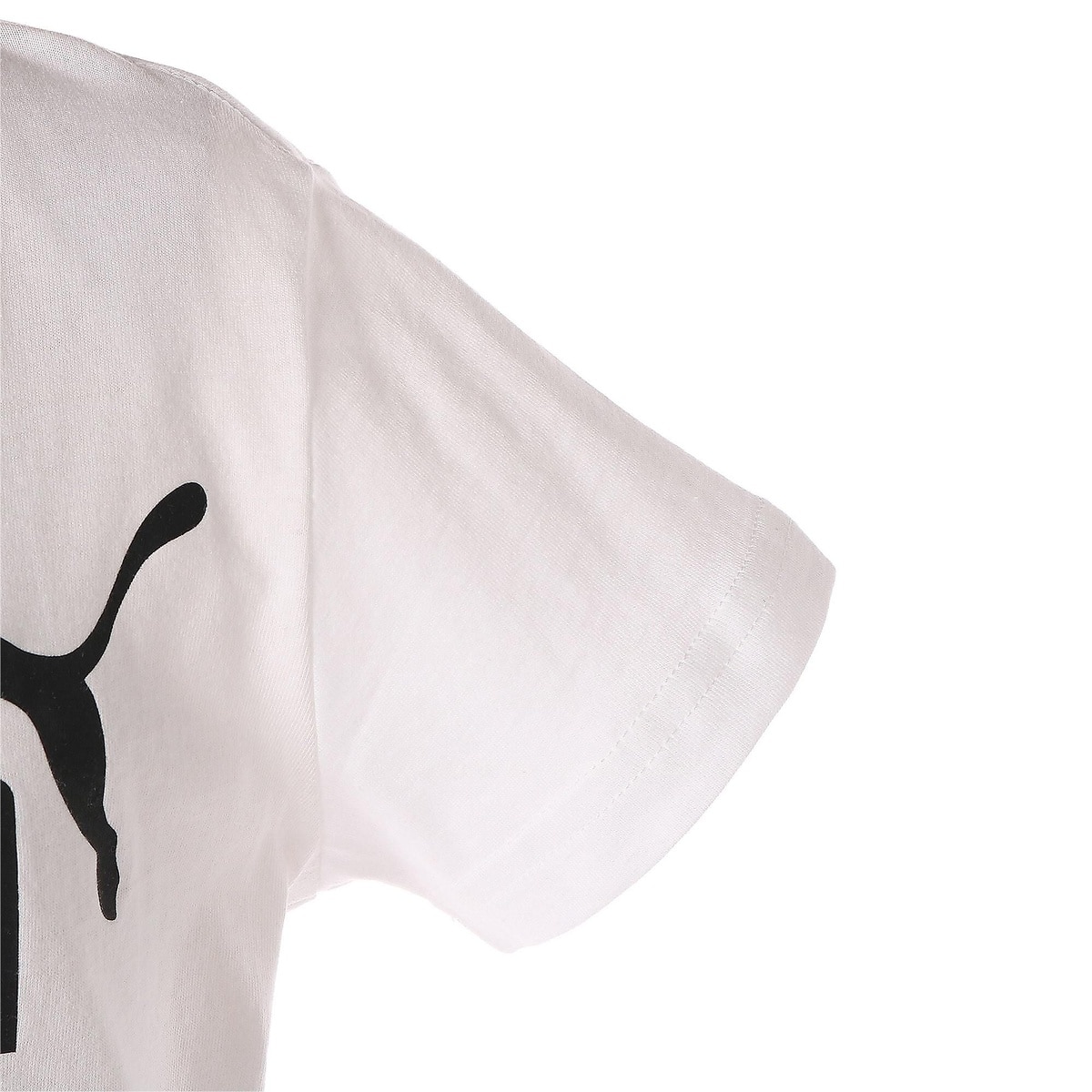 ESS ロゴ Tシャツ