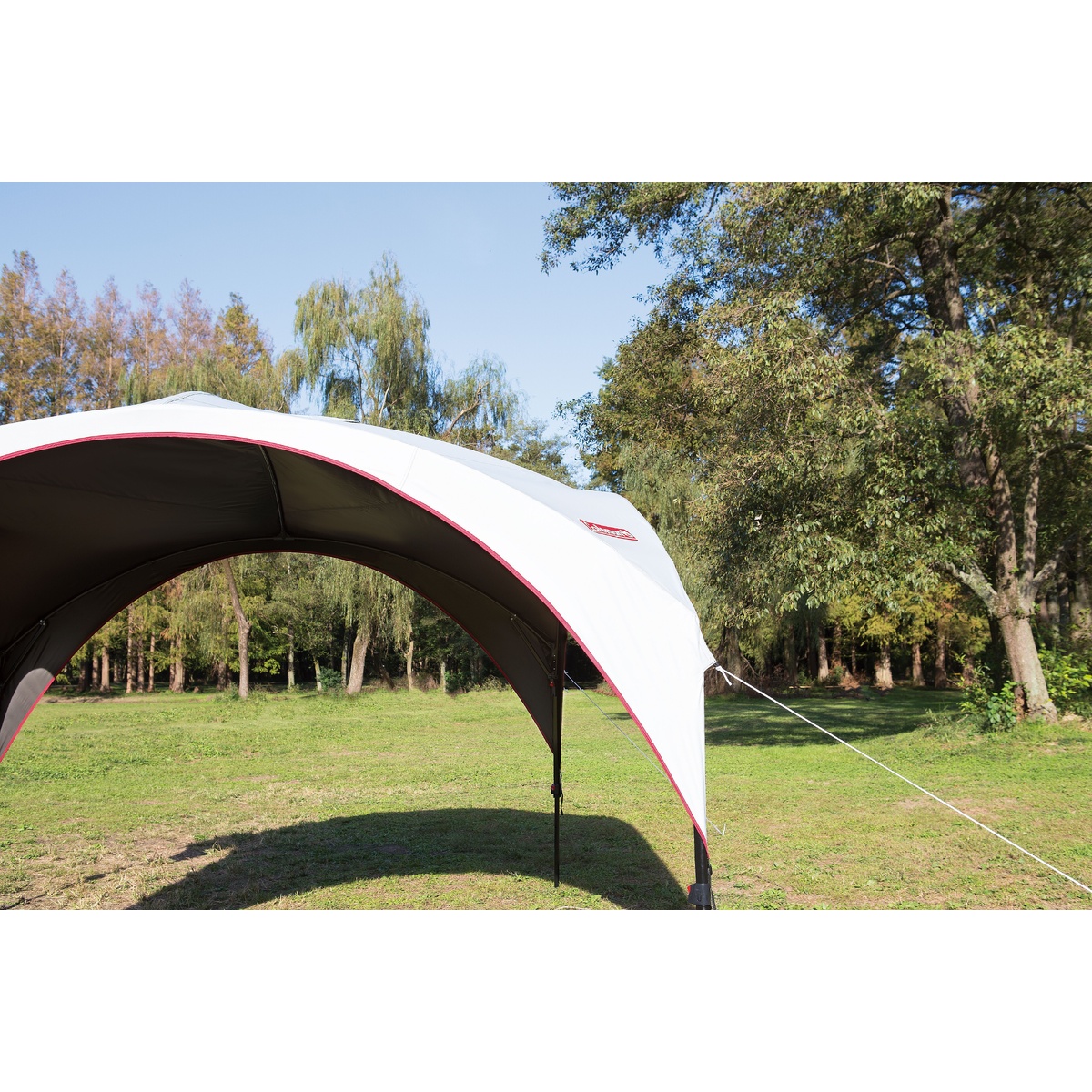 パーティーシェードライト/300+ DARK ROOM