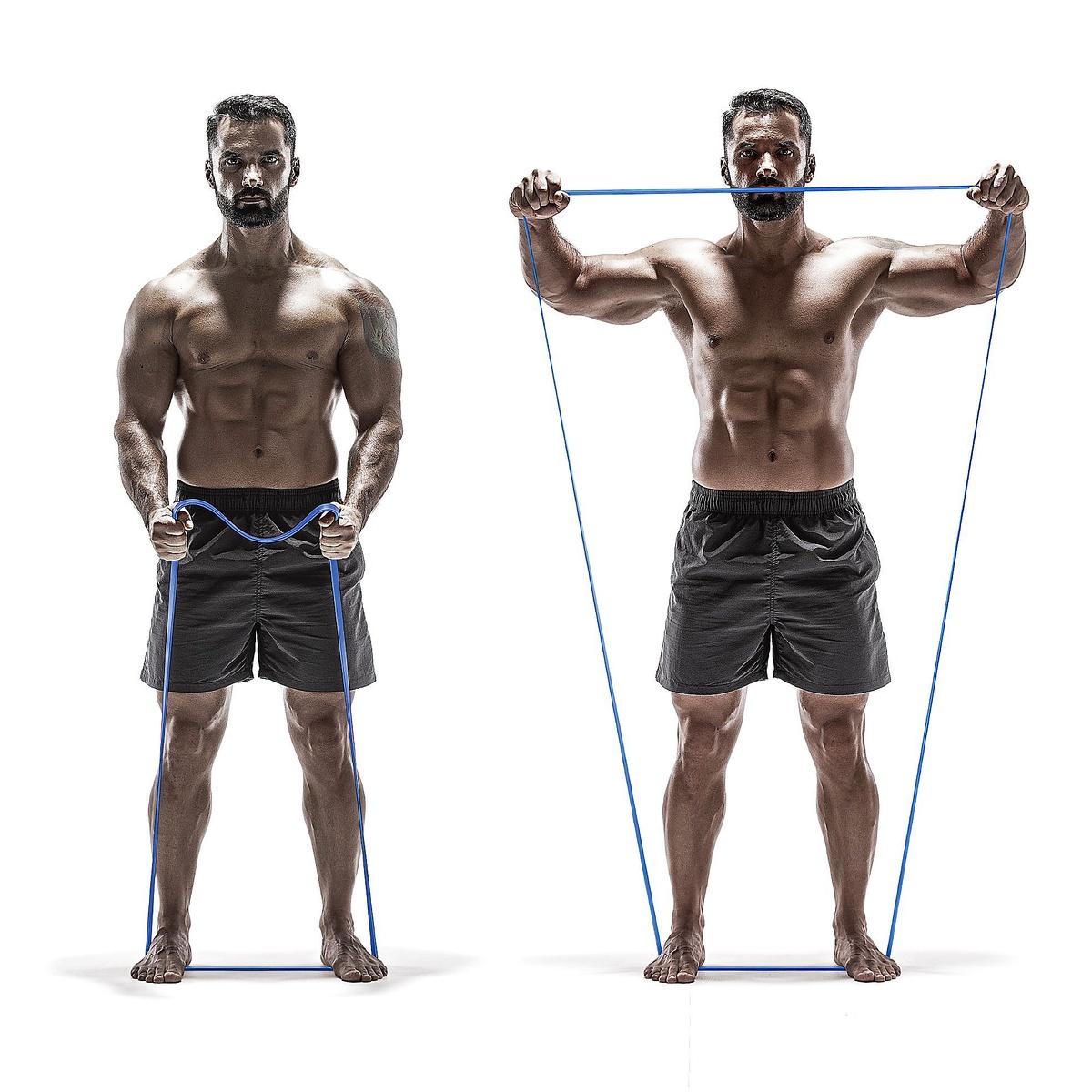 筋肉質バンド　スタンダード