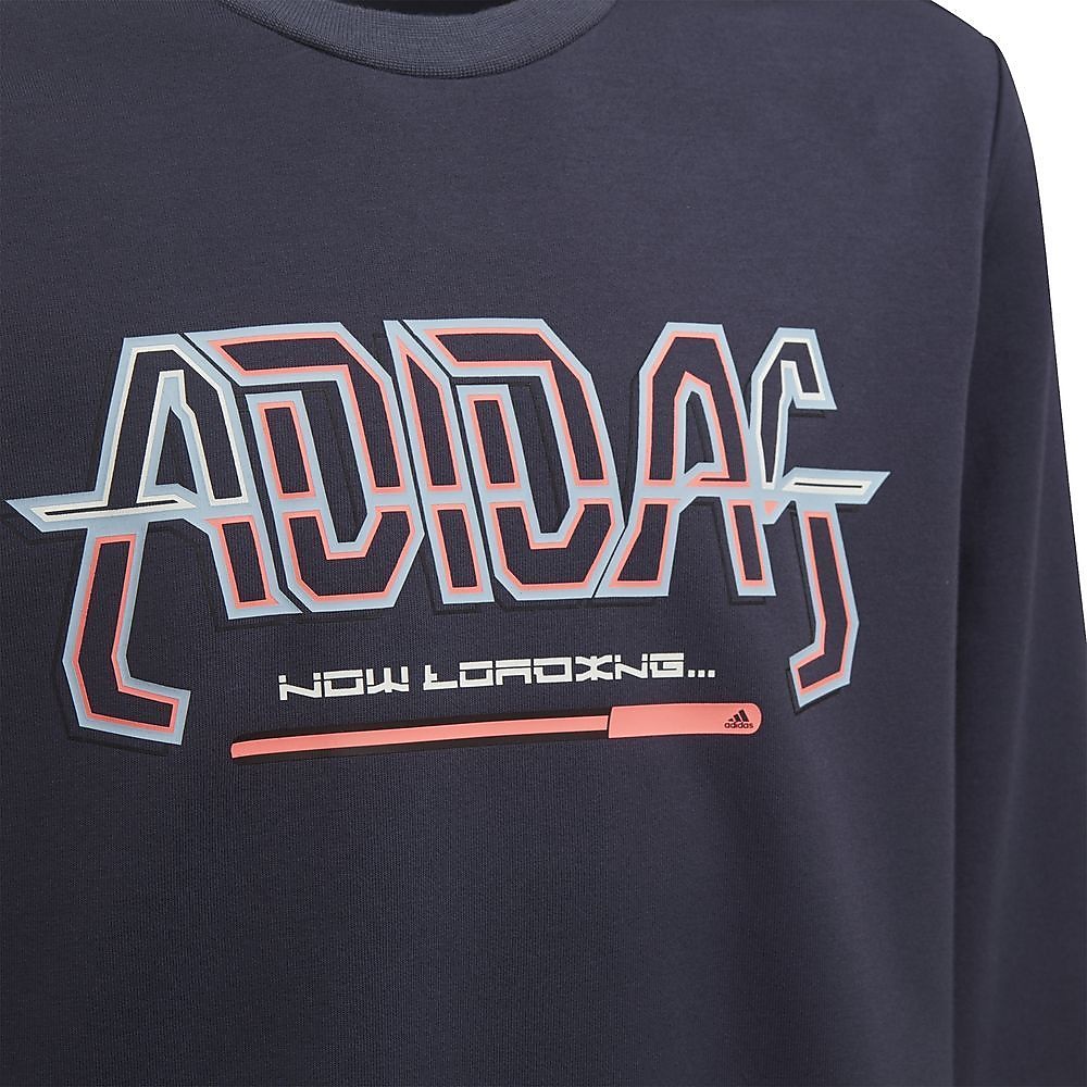 ARKD3 クルーネック スウェットシャツ / U ARKD3 CREW SWEATSHIRT