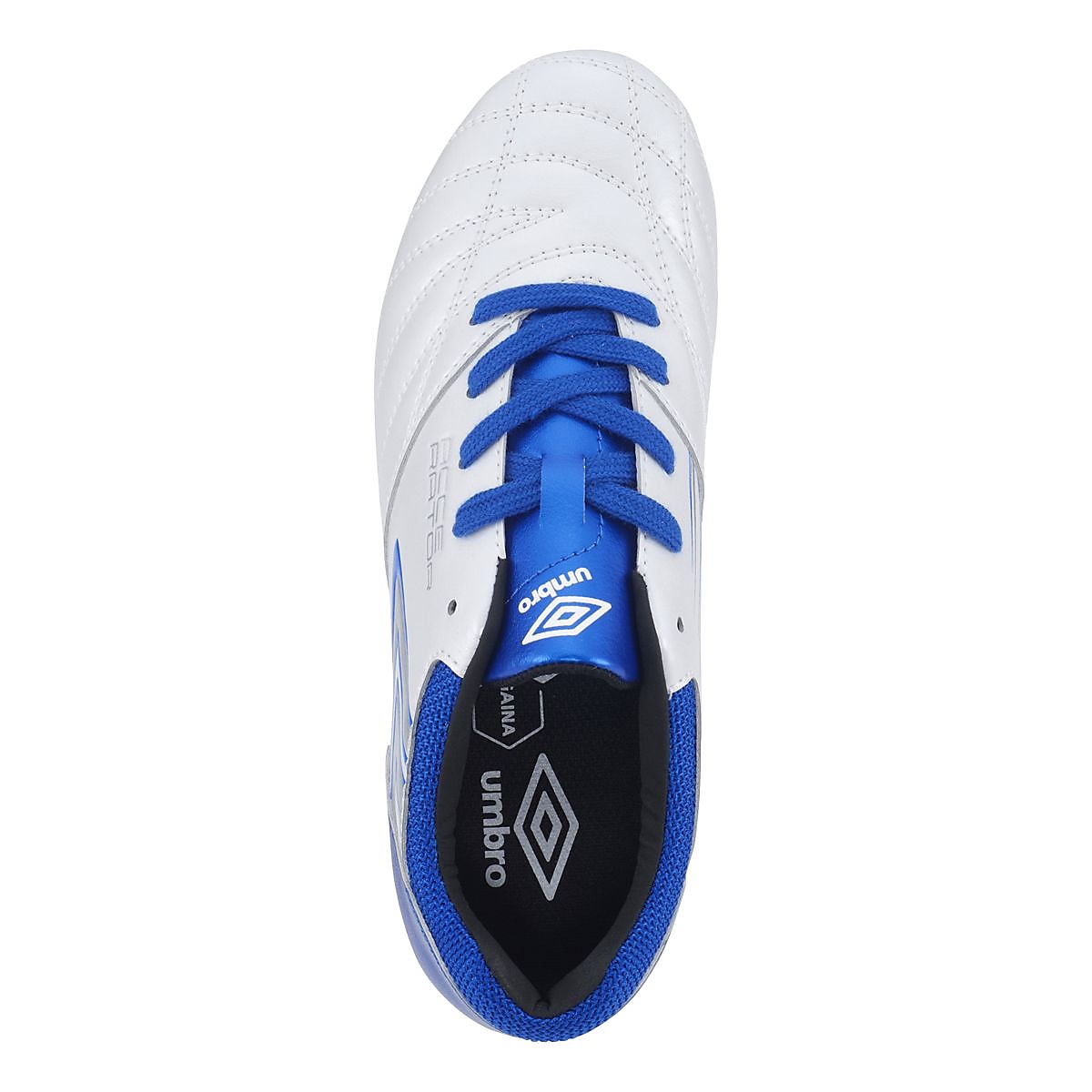 アクセレイター MID JR WIDE HG