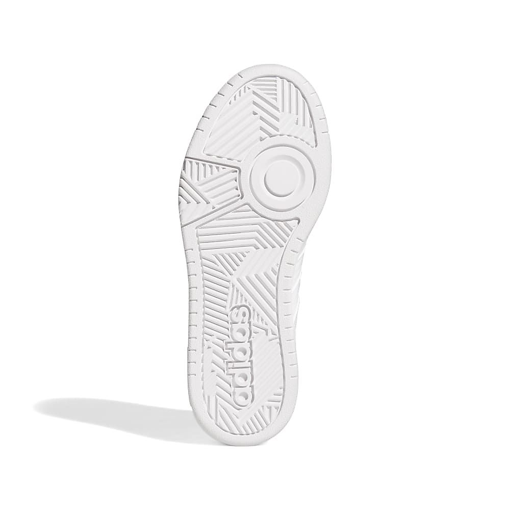 HOOPS 3.0