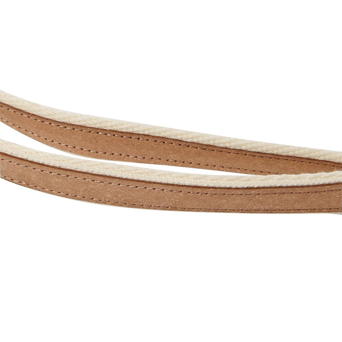 キャンバストートバック