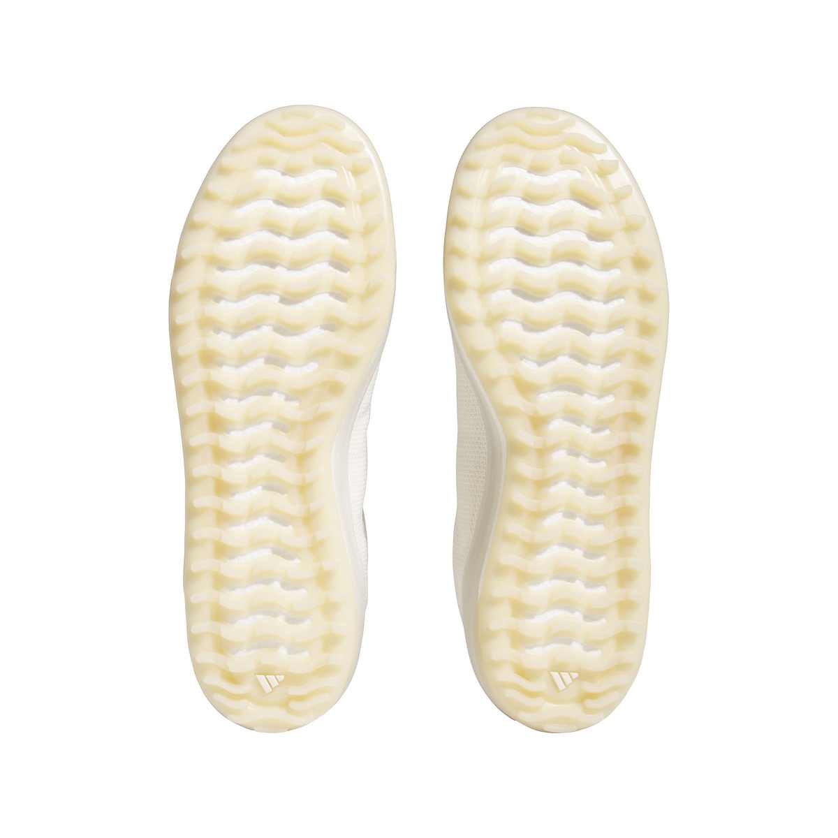 ゴー・トゥ・スパイクレス　１