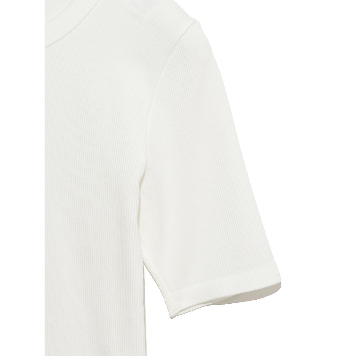 成型 5分袖リブTシャツ LADIES