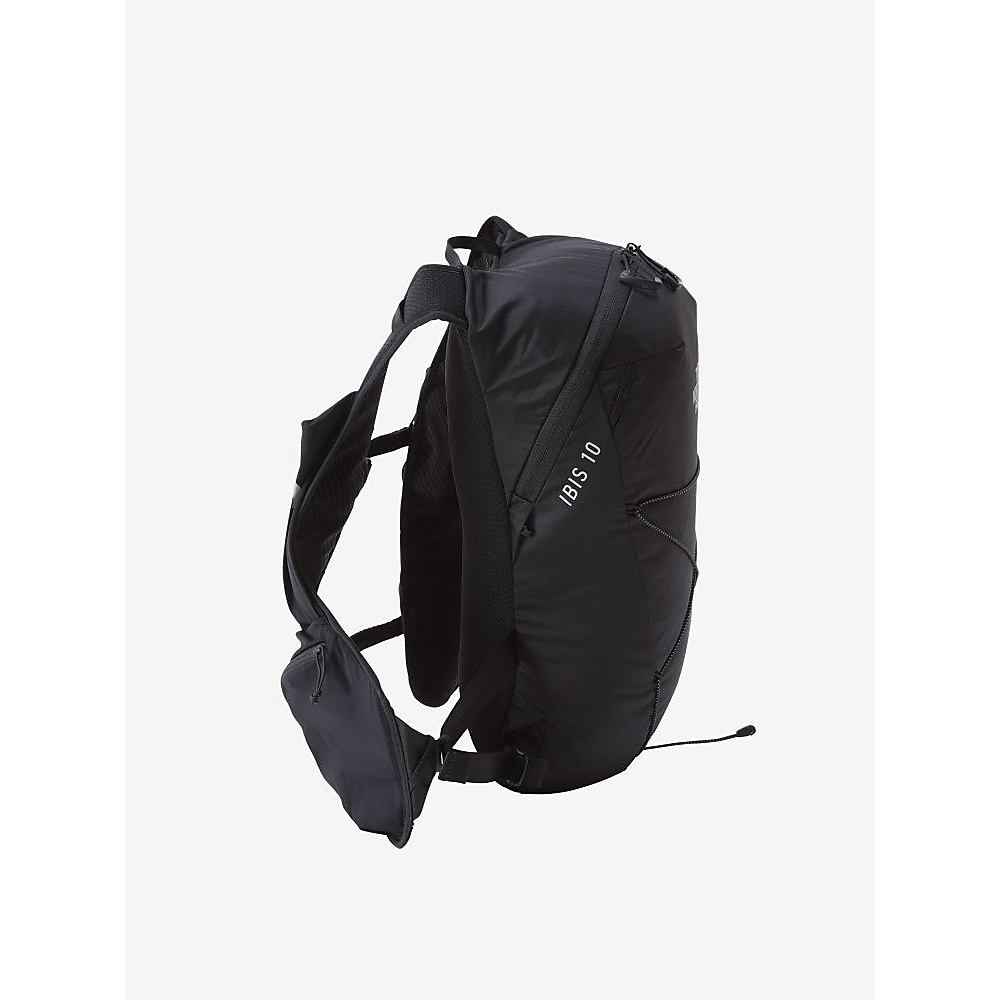 IBIS 10 (アイビス10)