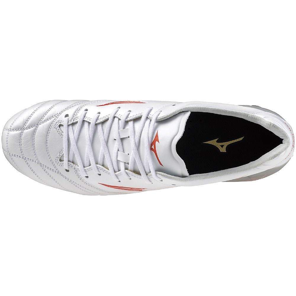 モナルシーダネオ3 ELITE