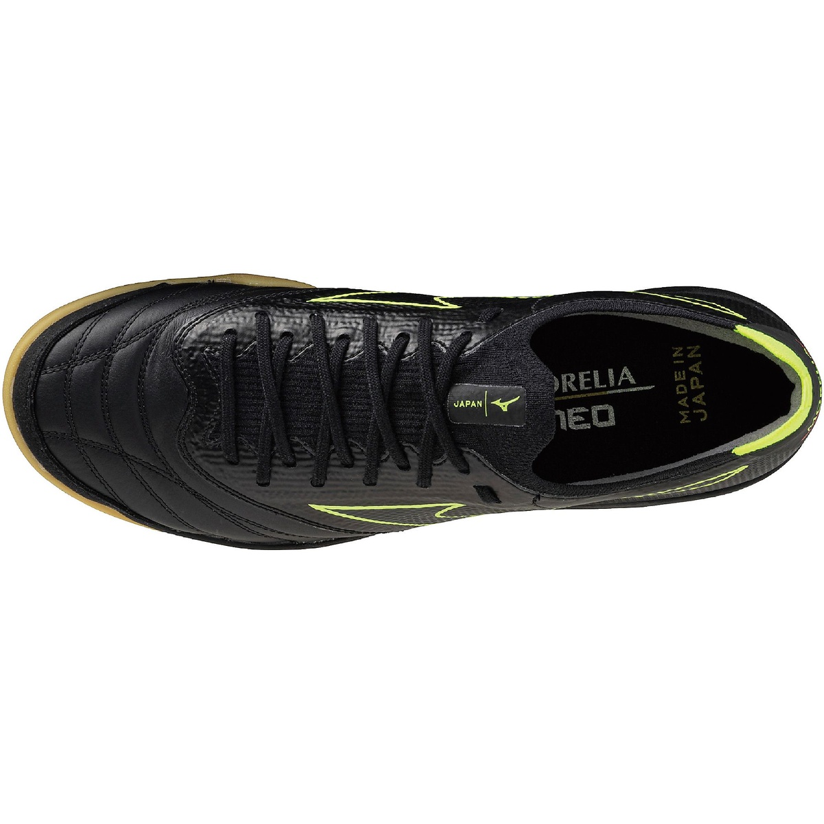 モレリアネオサラベータ JP IN