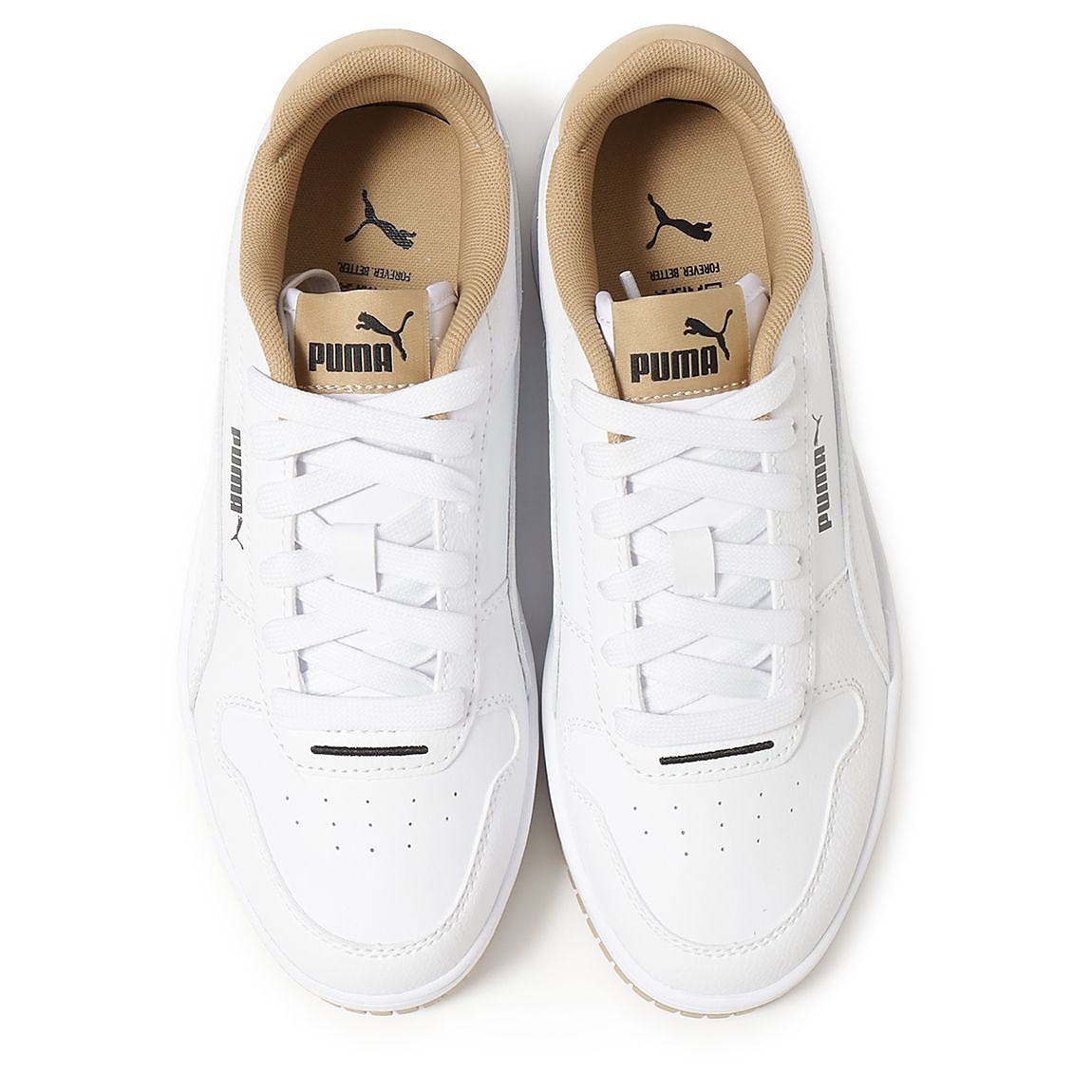 キャリーナ ストリート レオ