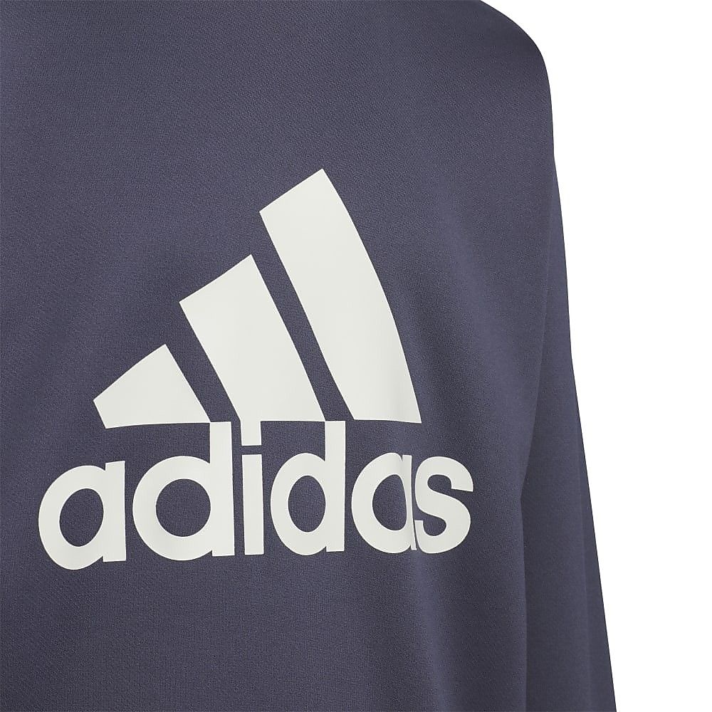 U STD1 クルースウェット