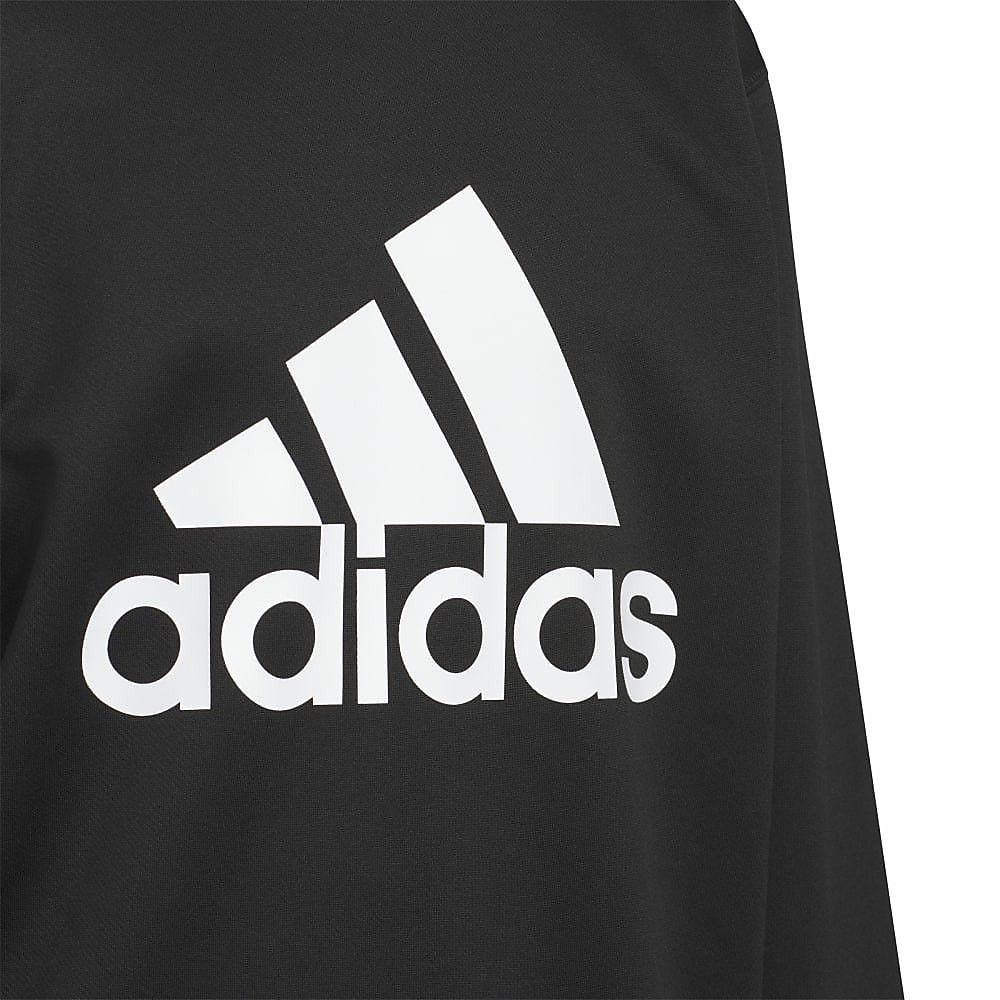 U STD1 クルースウェット