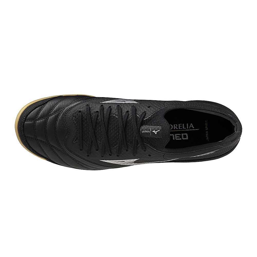 モレリアネオ サラ ベータ JP IN