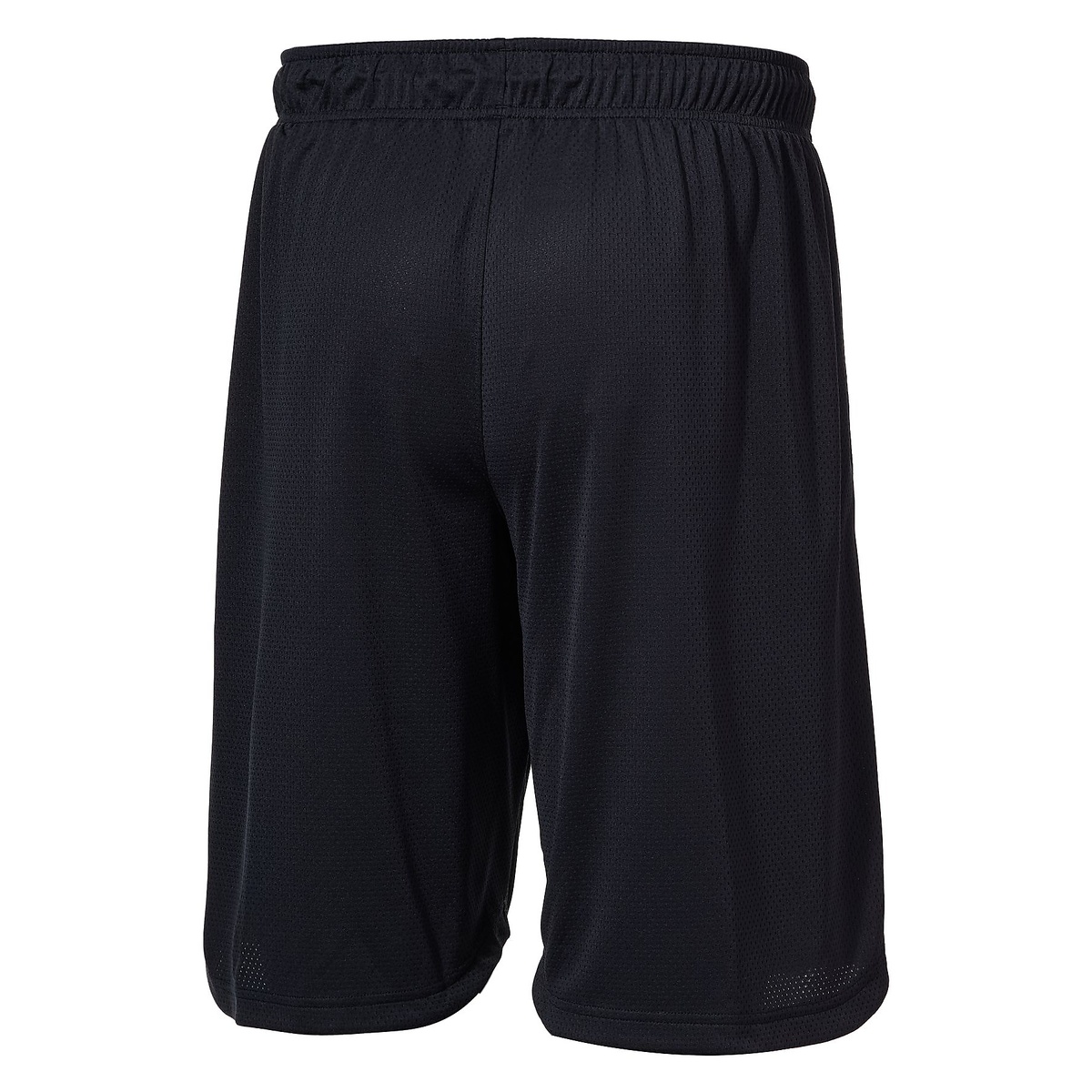 UA BASELINE MESH SHORTS