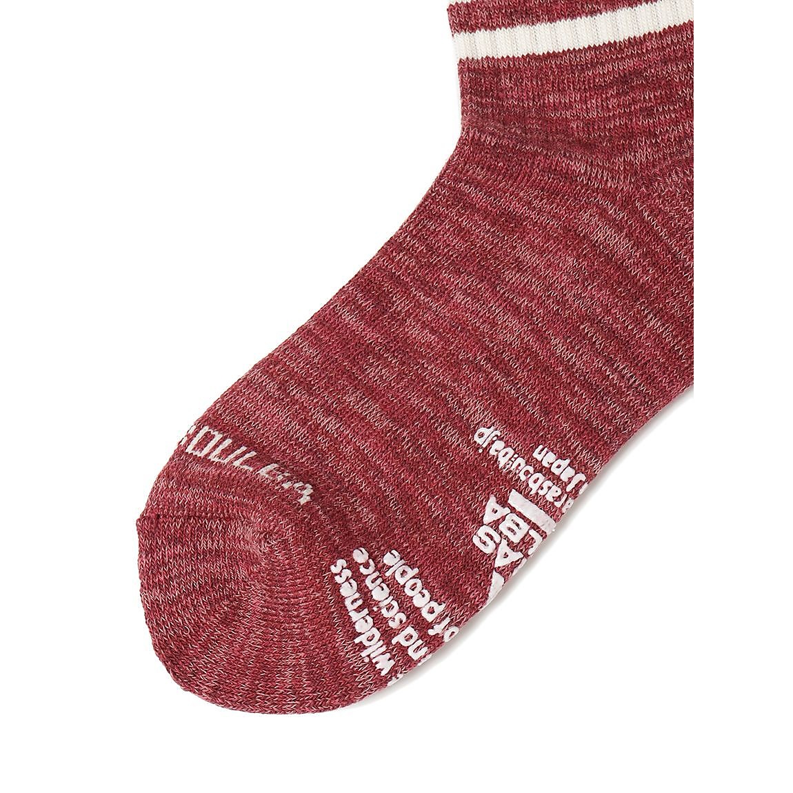 レディース ラインローゲージミドルソックス