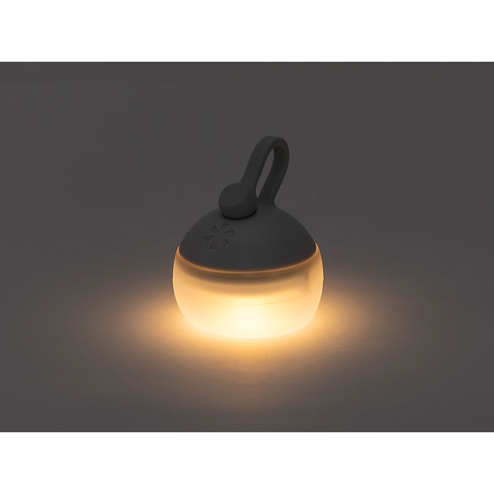 RBたねほおずき あさもや