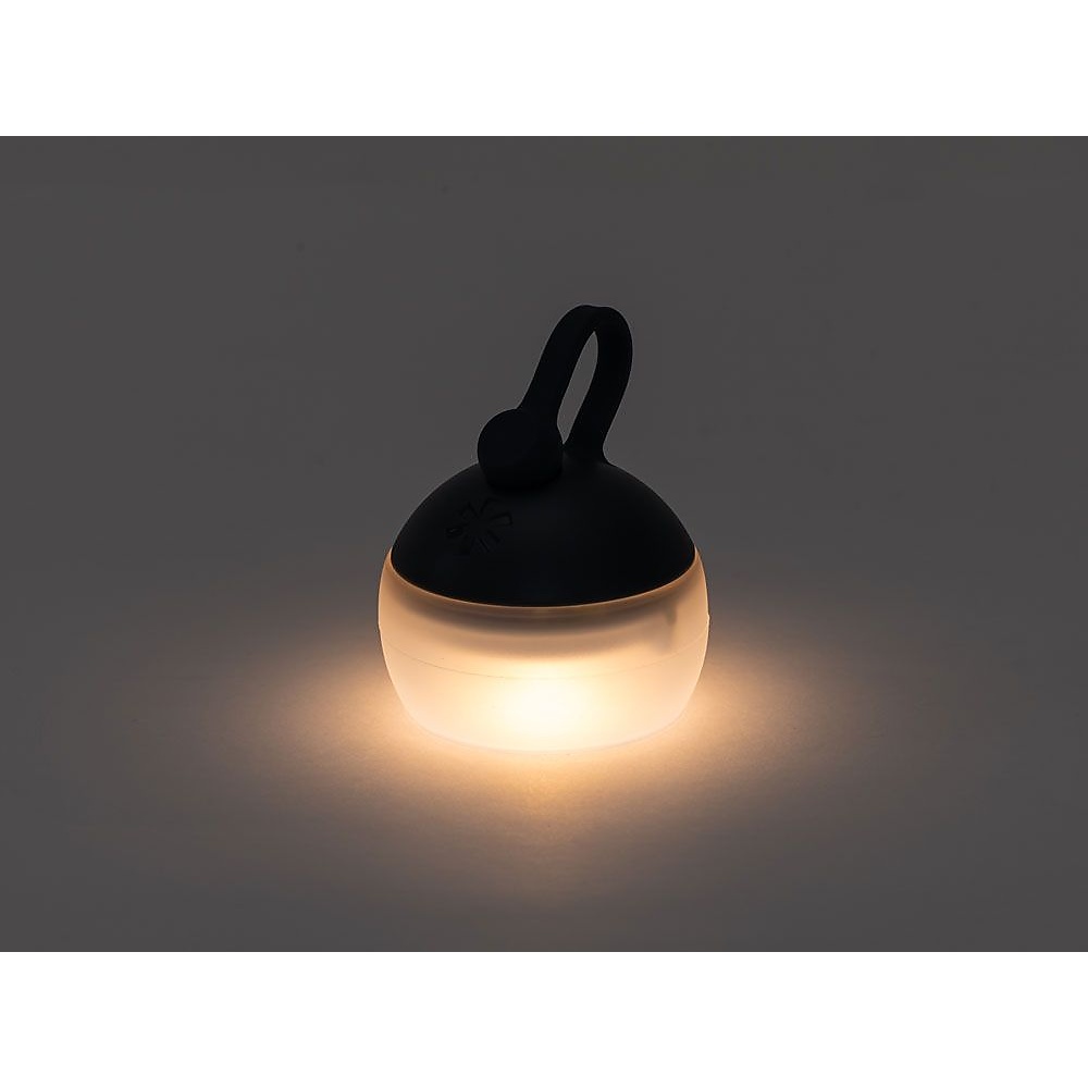 RBたねほおずき よぞら