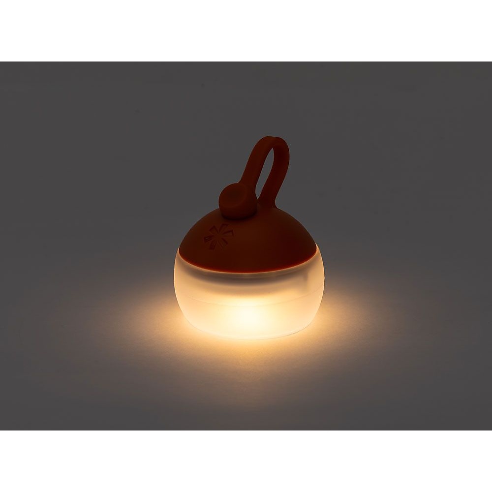 RBたねほおずき ひぐれ