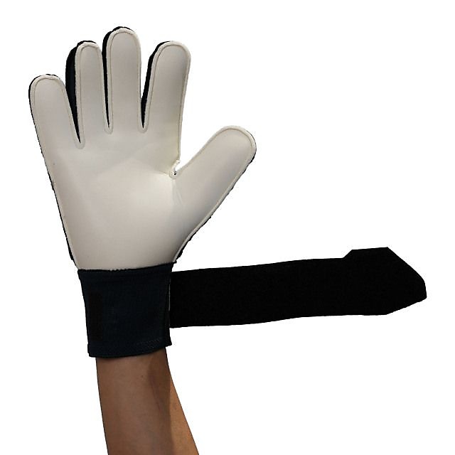 プレディクション ソフト プロ