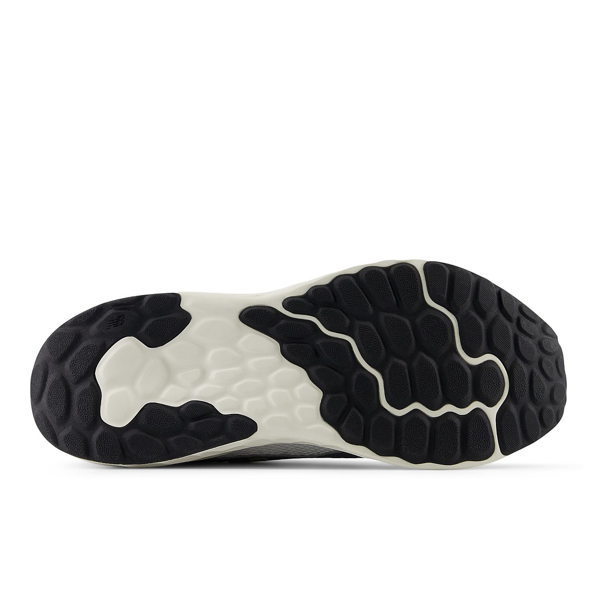 Fresh Foam Arishi v4