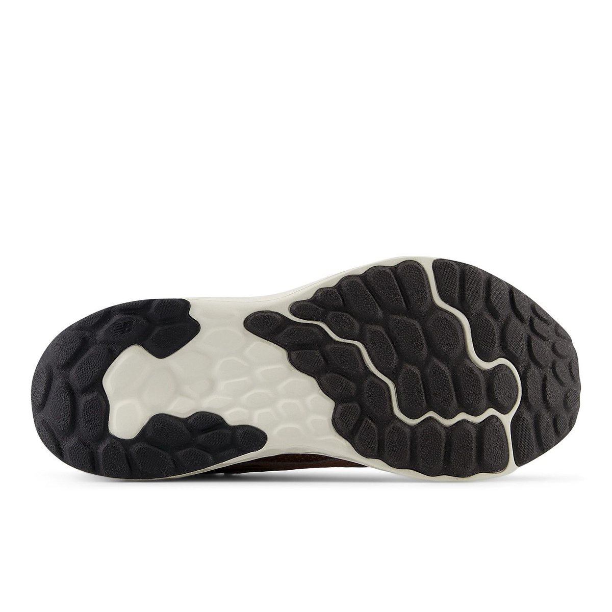 Fresh Foam Arishi v4