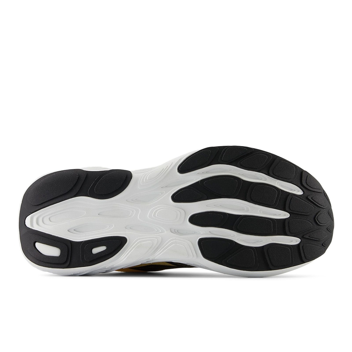 Fresh Foam X 880 v15