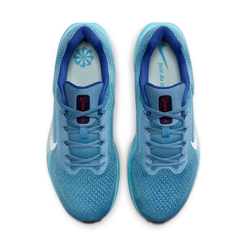 ナイキ エア ウィンフロー 11