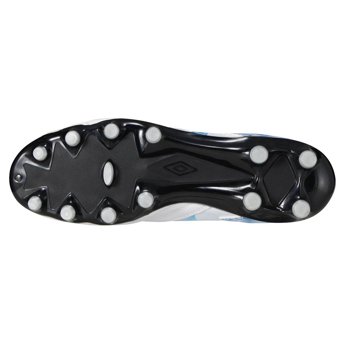 アクセレイター  f v3 HG