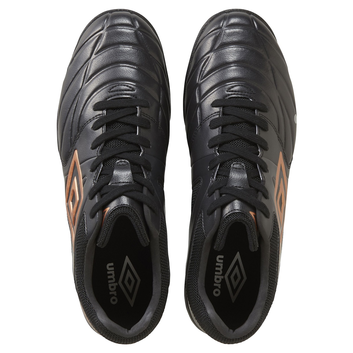 アクセレイター TR EX WIDE