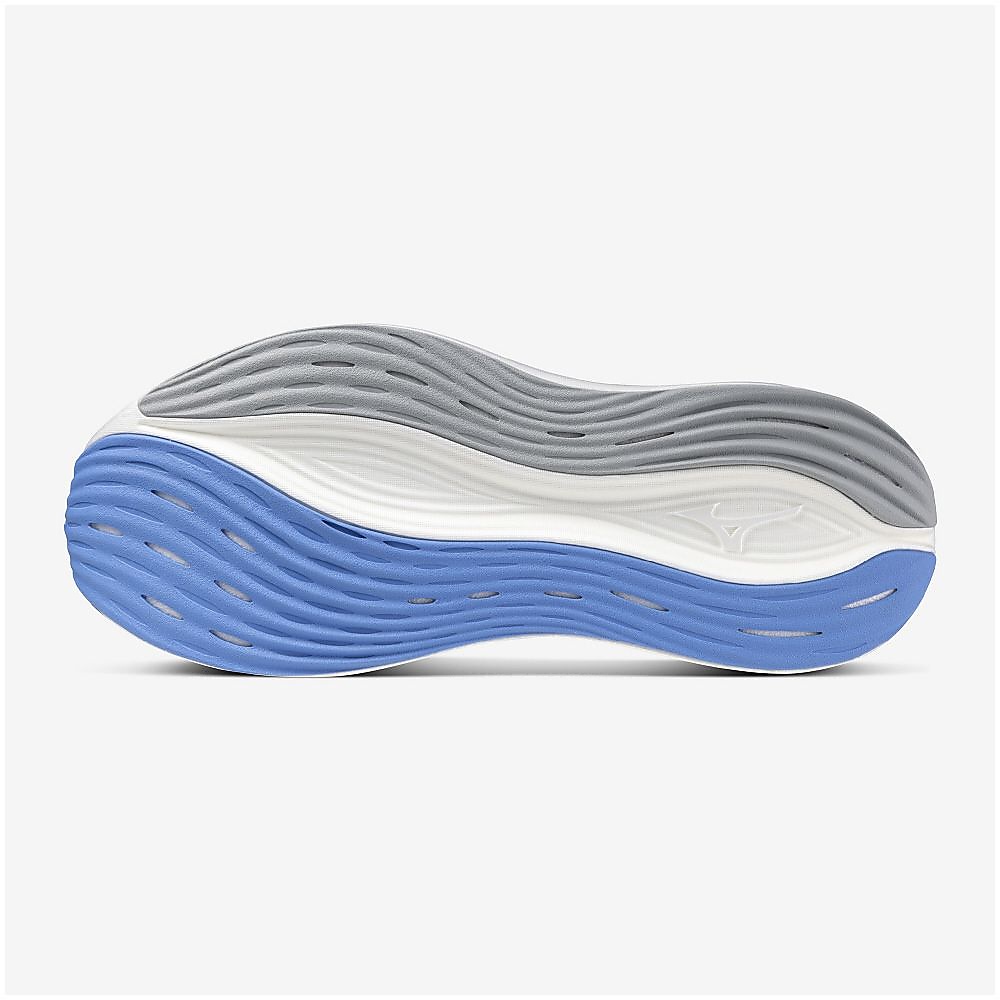 ミズノネオゼン