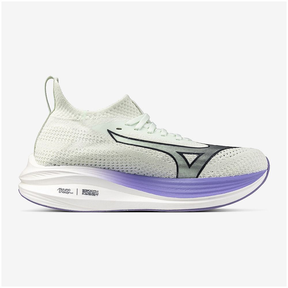 ミズノネオゼン