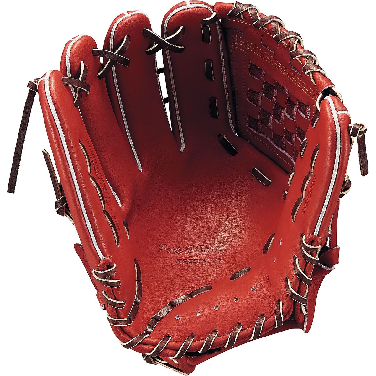 ナンシキグラブ(プロステイタス)23F