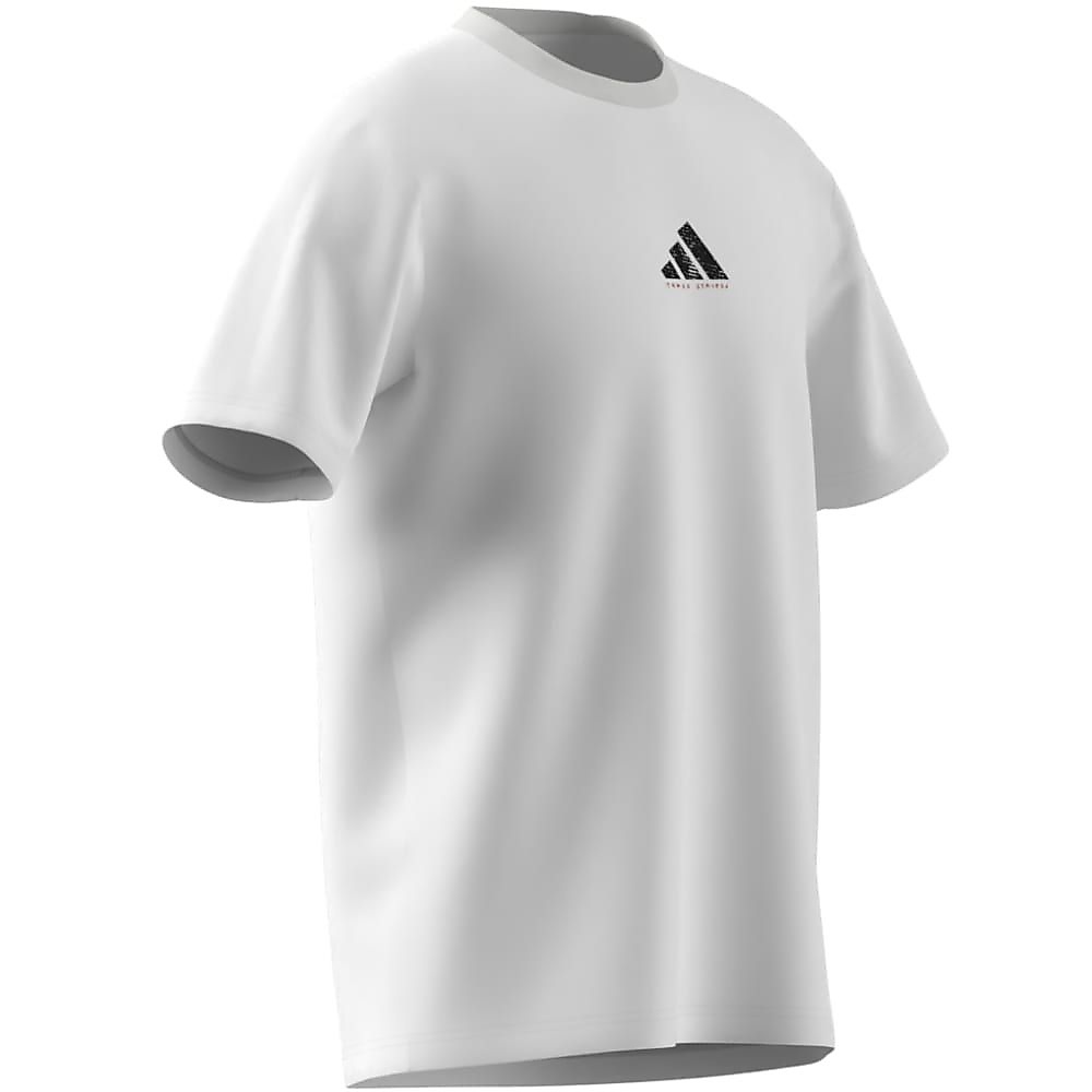 M PHOTO ポリ Tシャツ