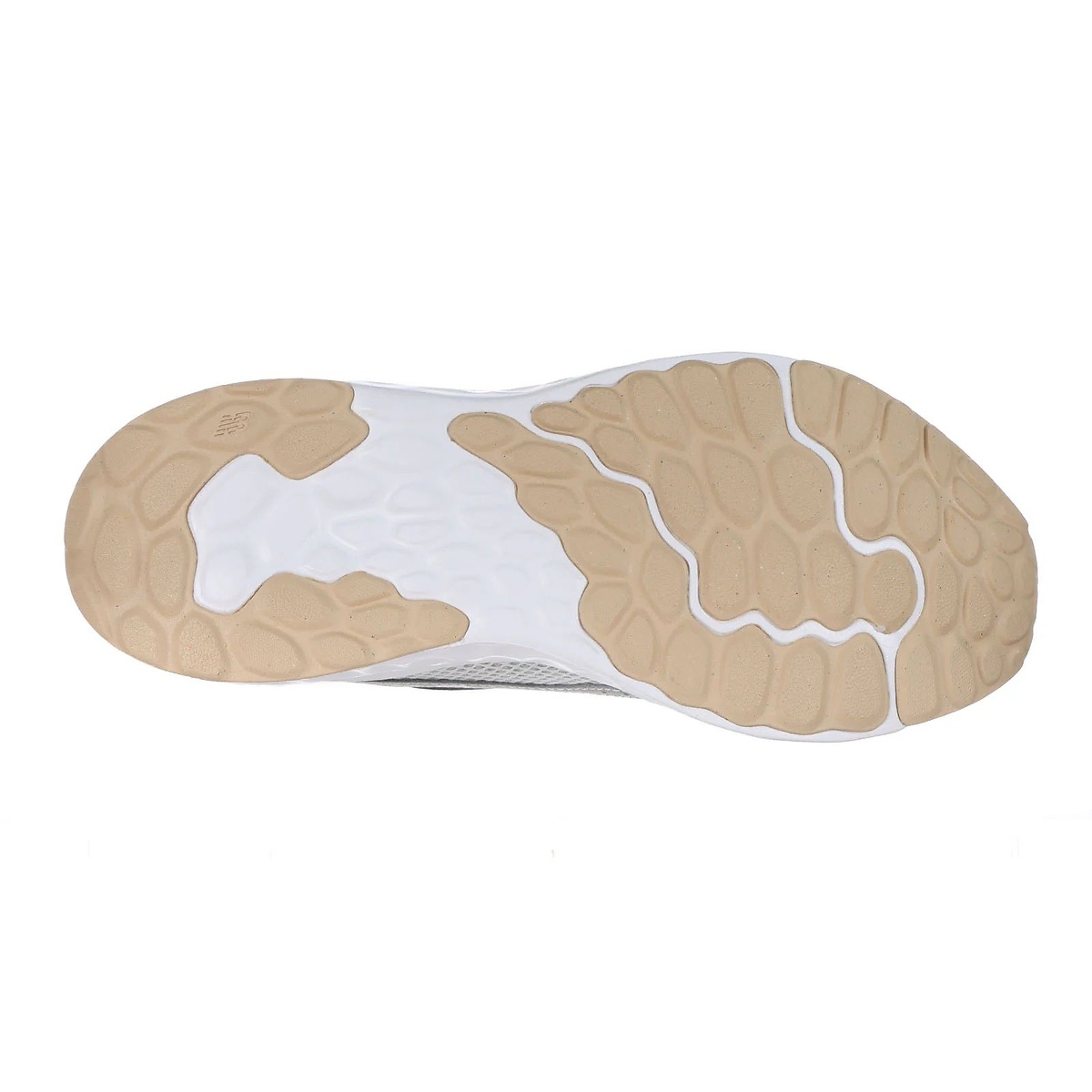 Fresh Foam Arishi v4