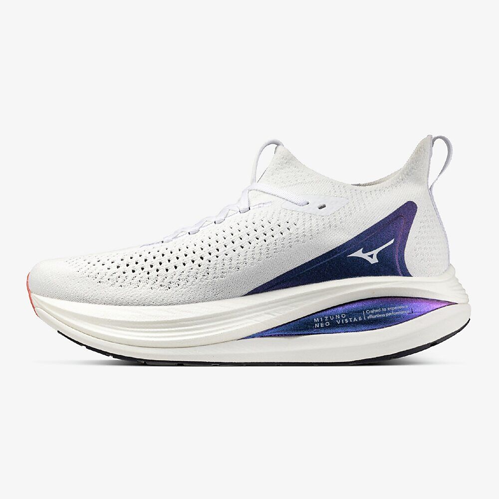 ミズノネオビスタ2