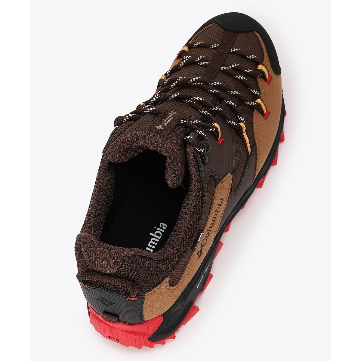 セイバー シックス ロー アウトドライ ワイド