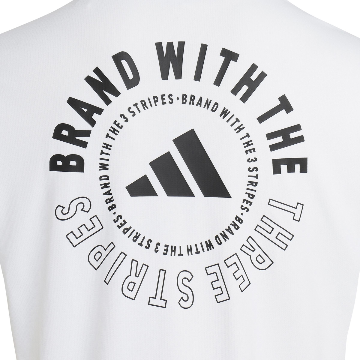 MCOOLBACKPTシャツ