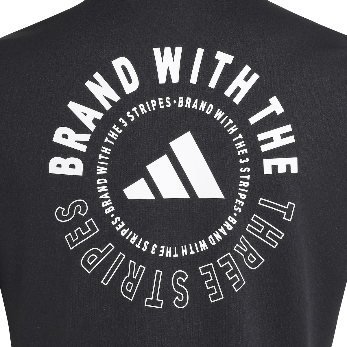 MCOOLBACKPTシャツ