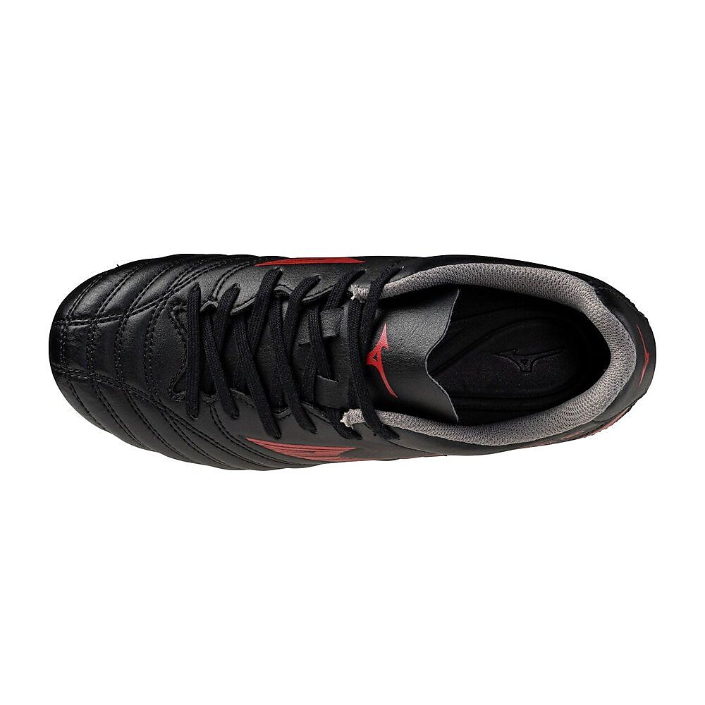 モナルシーダネオ3 セレクトJr