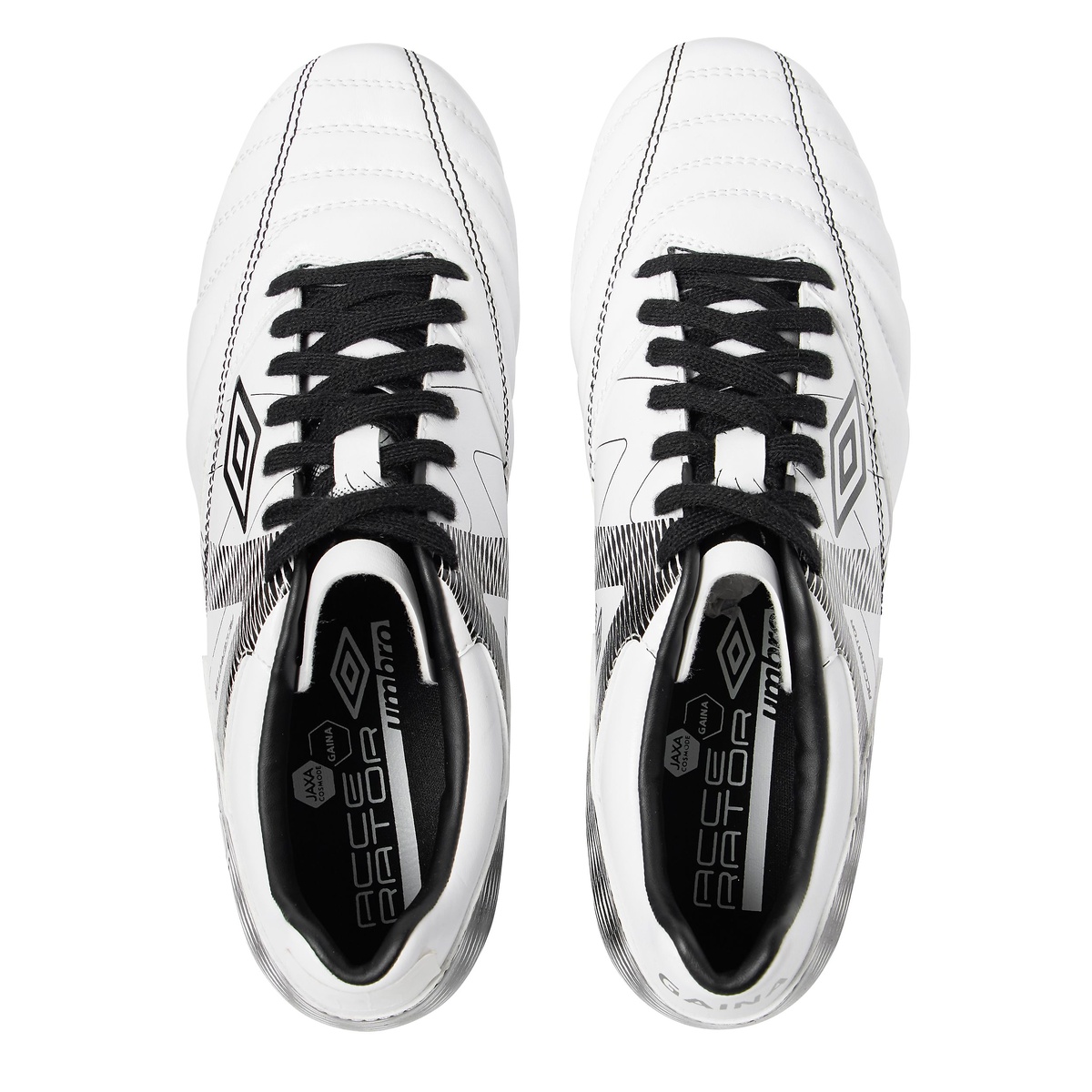 アクセレーター +GAINA HG