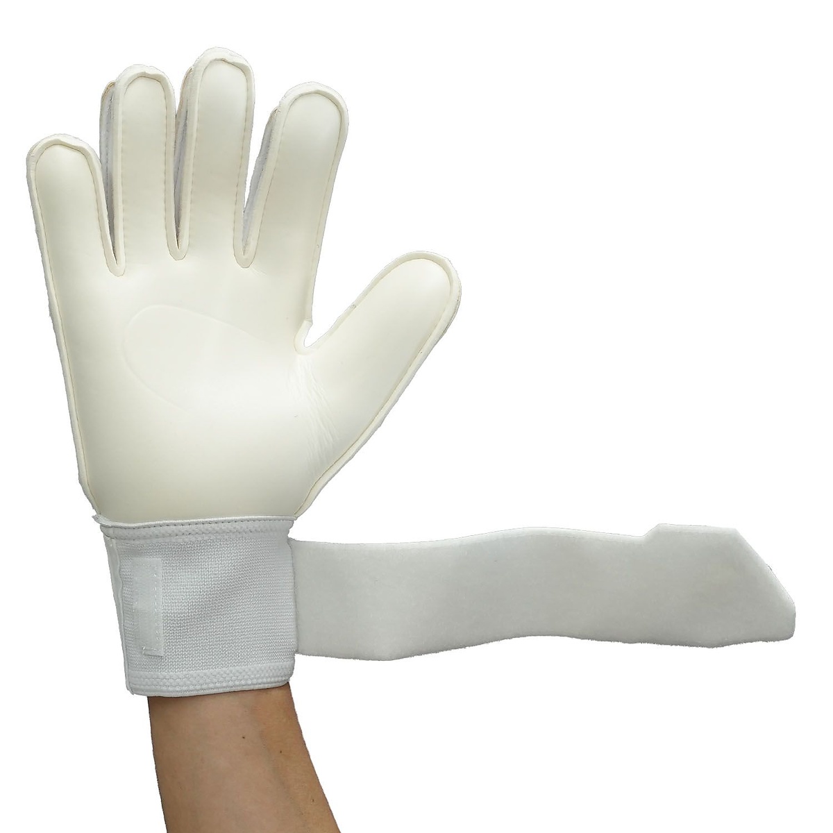 サイバーテック ソフト プロ 6