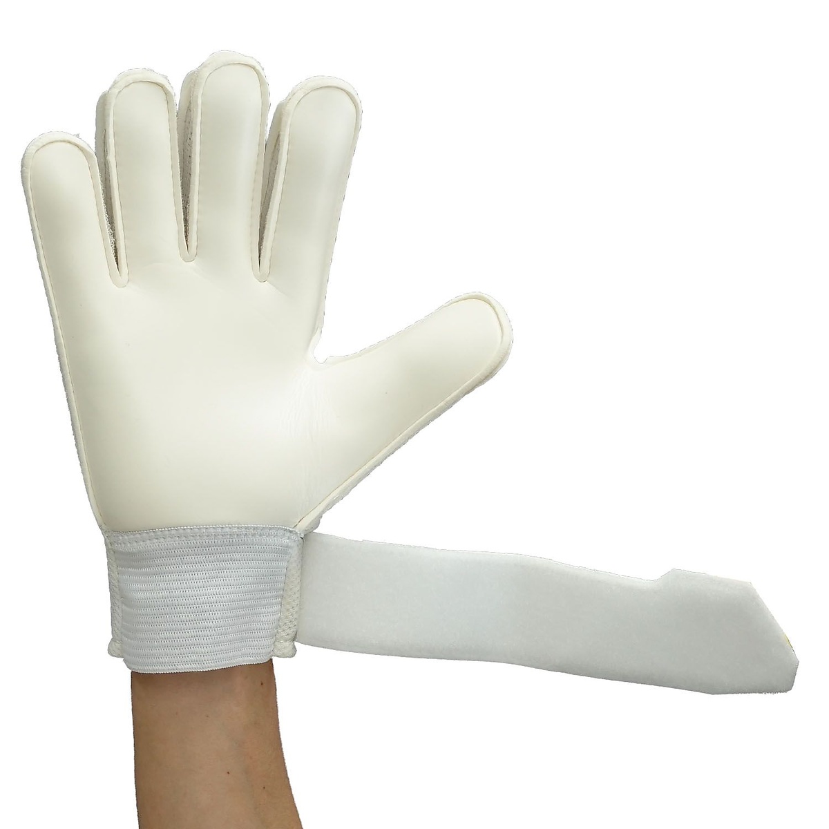 サイバーテック スターターソフト 6