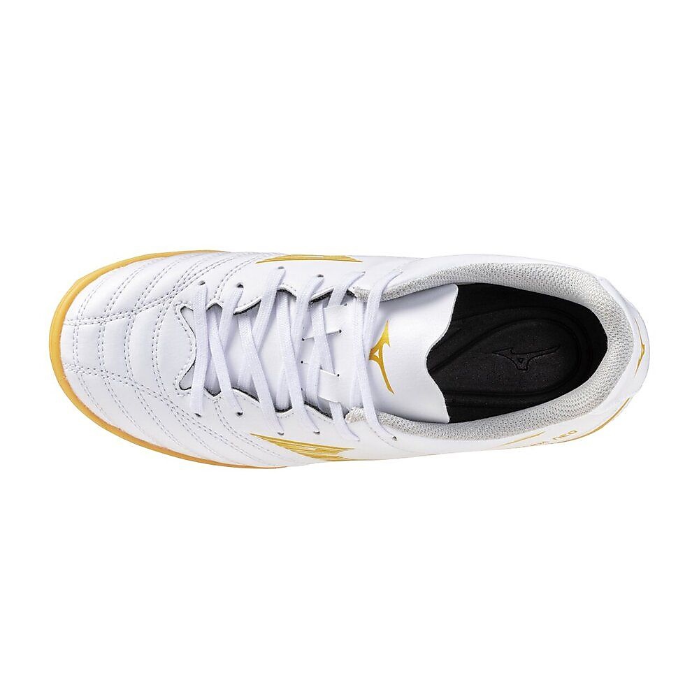 モナルシーダネオ3 セレクトJr IN