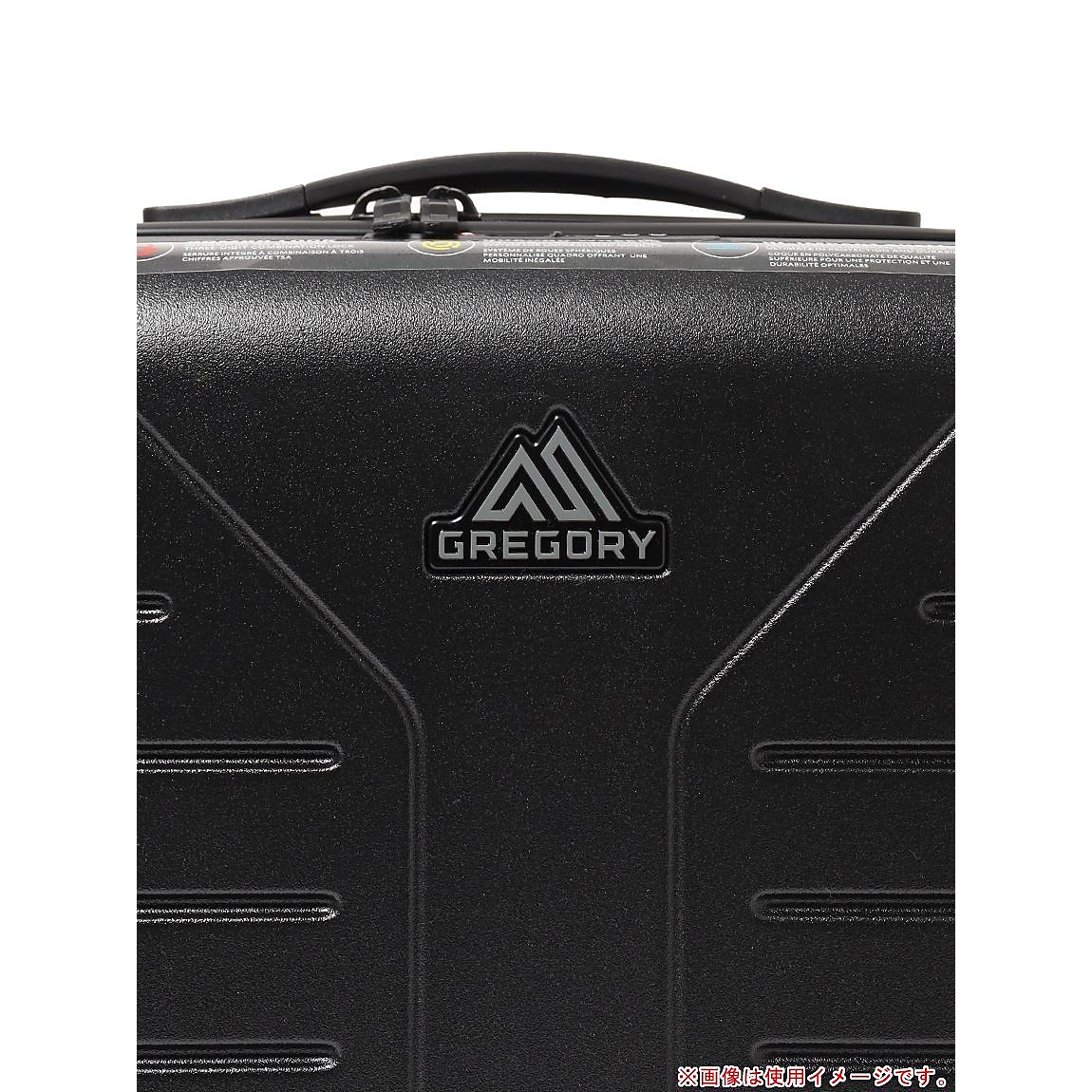 クアドロインターナショナルキャリーオン