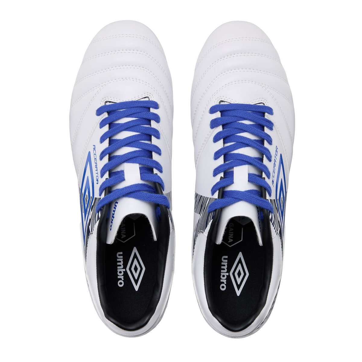 アクセレイタ- +GAINA HG