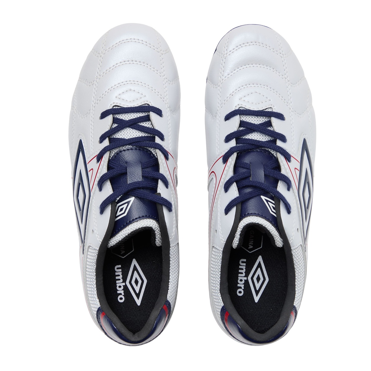 アクセレイタ- RB J WD+G HG