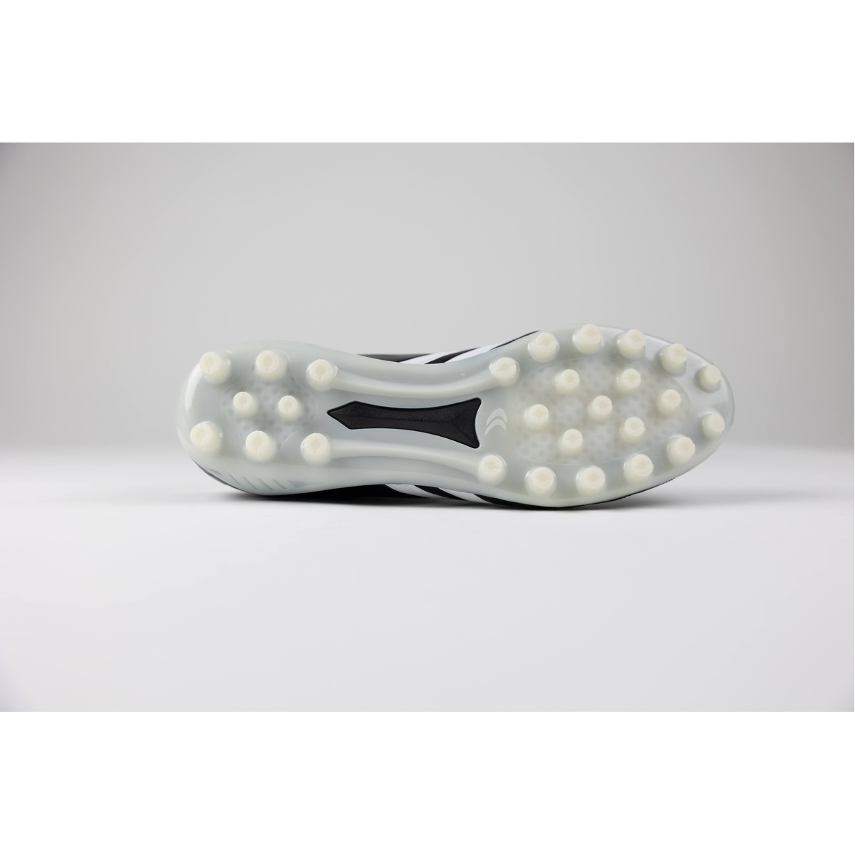 リガレスタ エース(Ligaresta  Ace)