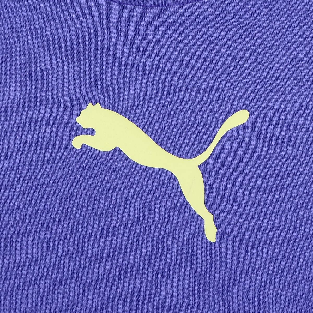 PUMA SPORT Tシャツ AND ショートPT セット