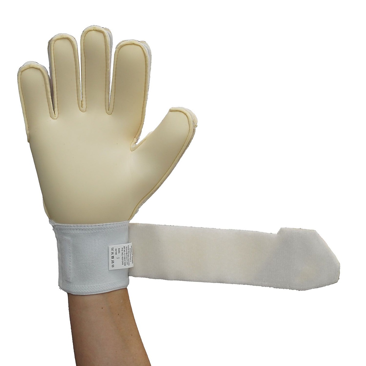 ファングマシーネ アブソルートグリップ